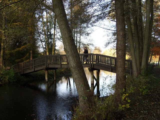 herbst_in_badbodenteich_07