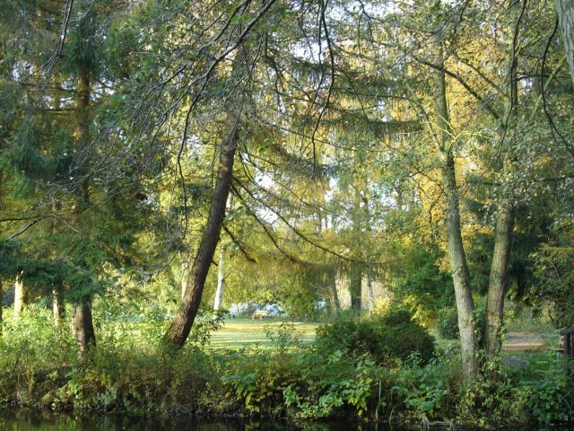 herbst_in_badbodenteich_08