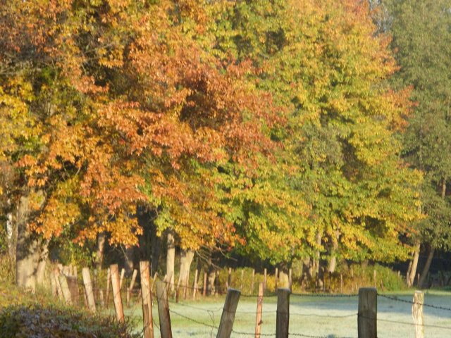 herbst_in_badbodenteich_11