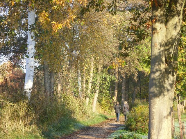 herbst_in_badbodenteich_15