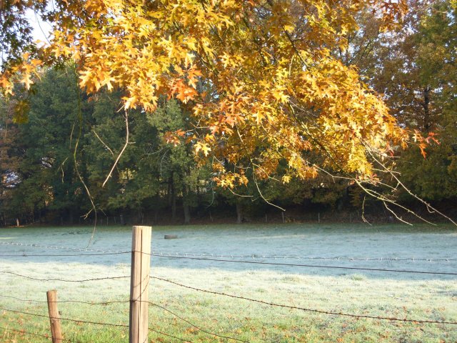 herbst_in_badbodenteich_16