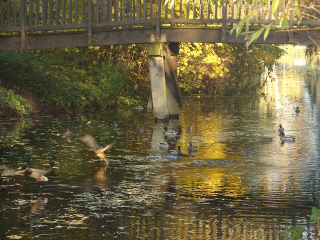 herbst_in_badbodenteich_21