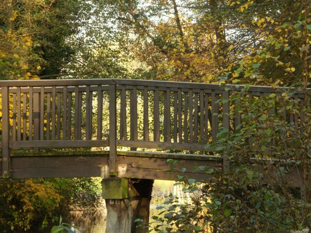 herbst_in_badbodenteich_24