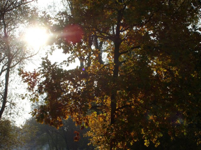 herbst_in_badbodenteich_30