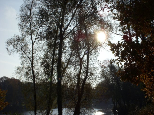 herbst_in_badbodenteich_32