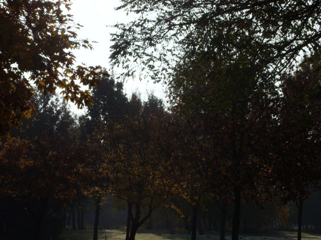 herbst_in_badbodenteich_37