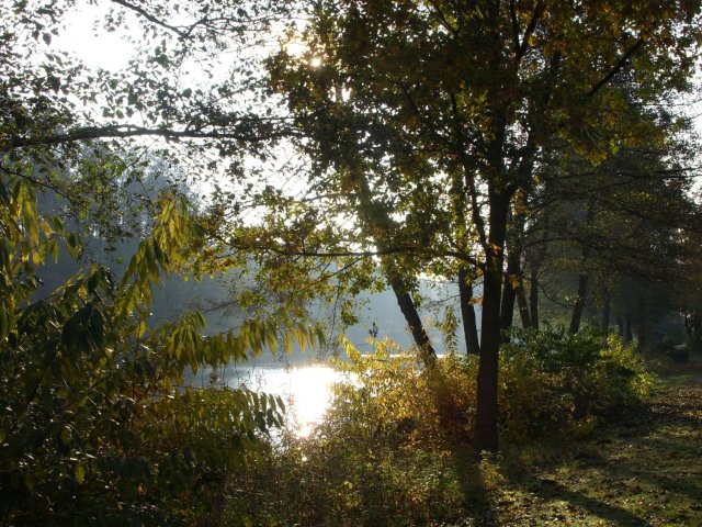 herbst_in_badbodenteich_43