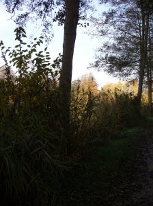 herbst_in_badbodenteich_09