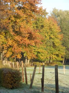 herbst_in_badbodenteich_11