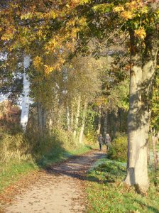 herbst_in_badbodenteich_15