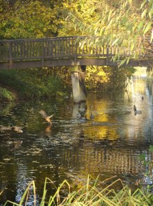 herbst_in_badbodenteich_21