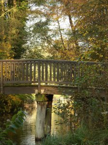 herbst_in_badbodenteich_24