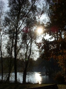 herbst_in_badbodenteich_29