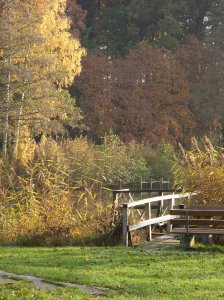 herbst_in_badbodenteich_40