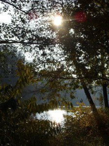 herbst_in_badbodenteich_45