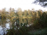 herbst_in_badbodenteich_10