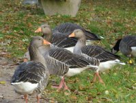 herbst_in_badbodenteich_25