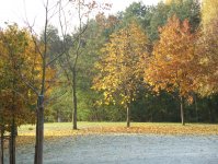 herbst_in_badbodenteich_31