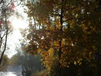 herbst_in_badbodenteich_33