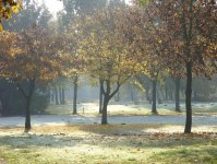 herbst_in_badbodenteich_36