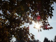 Arbeiten