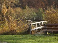 herbst_in_badbodenteich_41