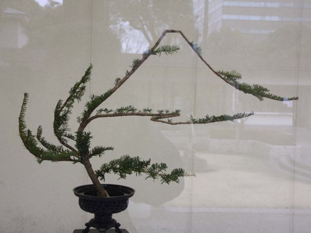 02_03_ikebana