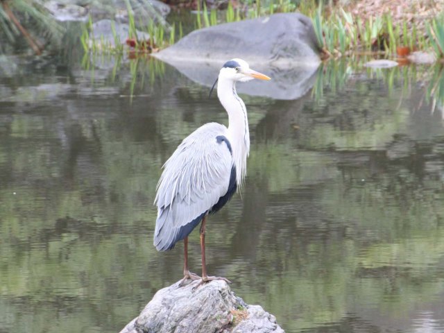 02_04_tokyo_hibiya_park