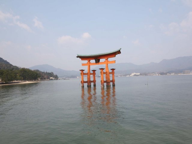 06_01_miyajima_tori