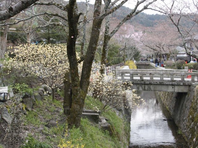 14_04_kyoto_philosophenweg