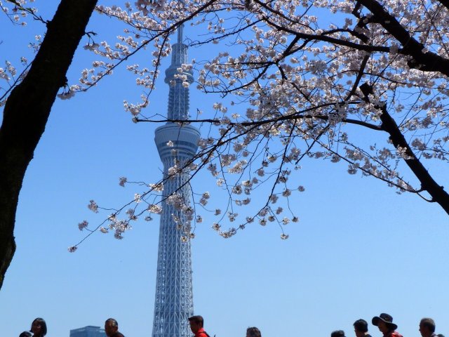 18_01_tokyo_sky_tree