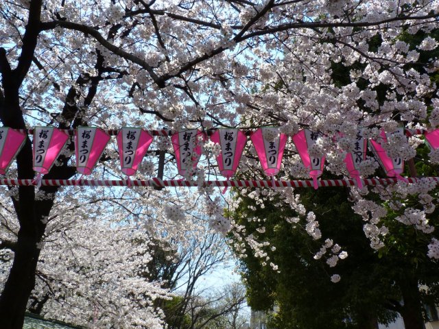 18_02_tokyo_asakura