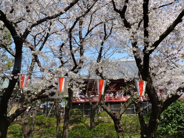 18_03_tokyo_ueno_park