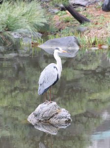 02_04_tokyo_hibiya_park