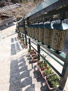 06_07_miyajima_daishoin_tempel