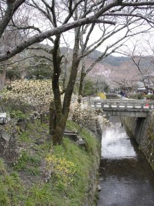 14_04_kyoto_philosophenweg