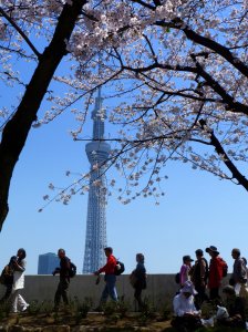 18_01_tokyo_sky_tree