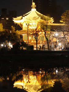 18_13_tokyo_ueno_park