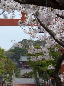 19_01_kamakura_tsurugaoka_hachimangu_schrein