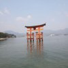 06_01_miyajima_tori