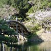 10_09_takamatsu_ritsurin_park