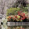 15_04_kyoto_ryoanji_tempel