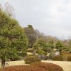 15_12_kyoto_nijo_schloss