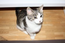 jule_009
