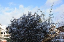 Winter 2010