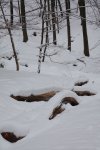 Winter 2010