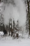 Winter 2010