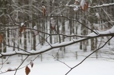 img_2727